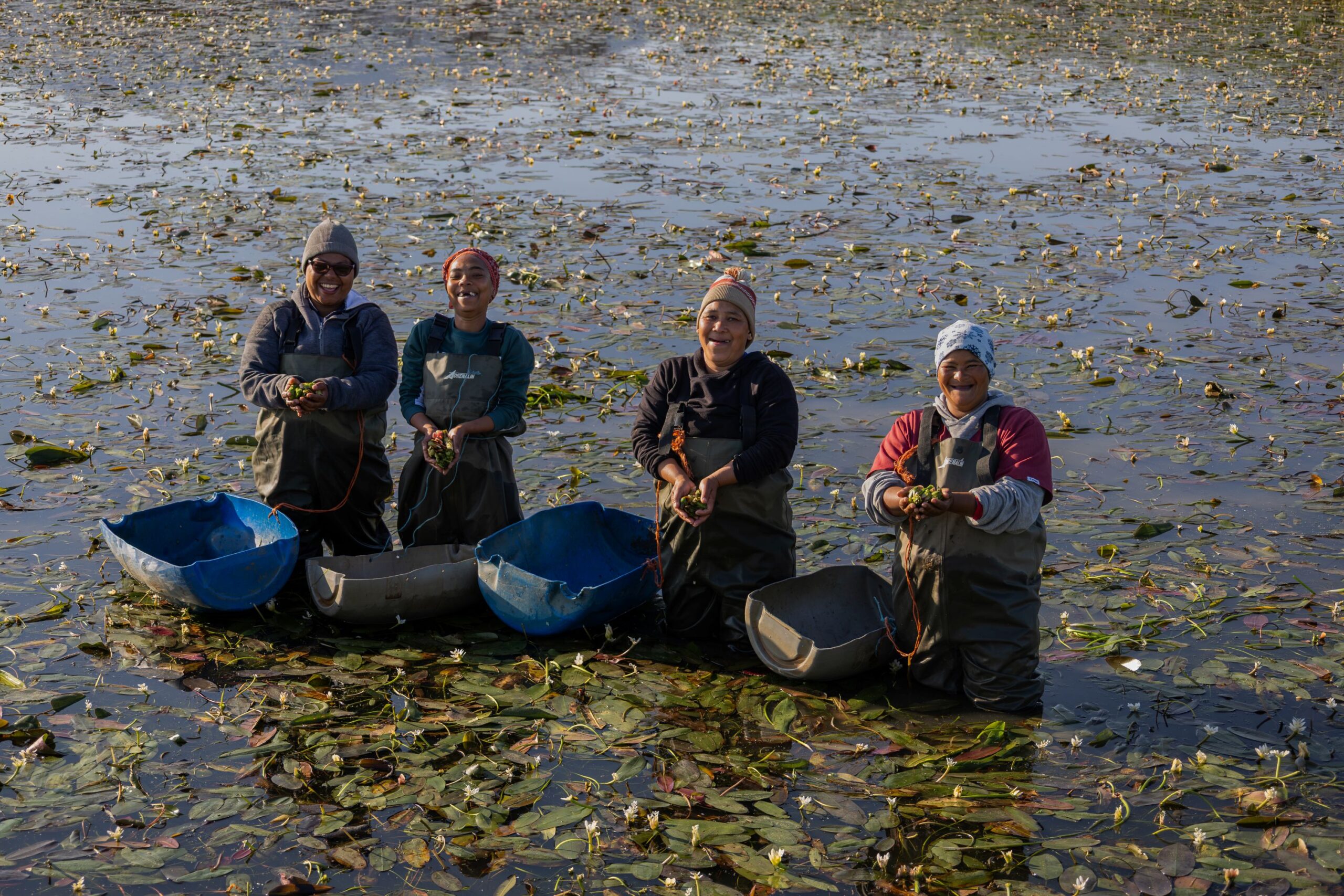 Pickers in action